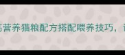 科学增肥指南5种高营养猫粮配方搭配喂养技巧让挑食瘦猫快速增重