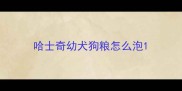 哈士奇幼犬狗粮怎么泡