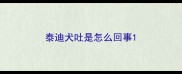 泰迪犬吐是怎么回事