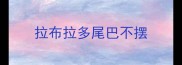 拉布拉多尾巴不摆