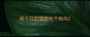 两个月的猫能吃干粮吗