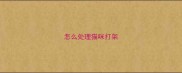 怎么处理猫咪打架