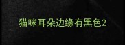 猫咪耳朵边缘有黑色