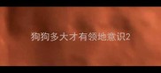 狗狗多大才有领地意识