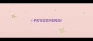 小狗打完疫苗特别难受