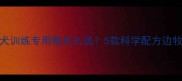 边境牧羊犬训练专用粮怎么选5款科学配方边牧训犬粮全