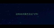 边牧幼犬尾巴没过飞节