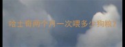 哈士奇两个月一次喂多少狗粮