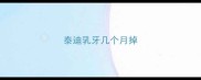 泰迪乳牙几个月掉