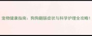 宠物健康指南狗狗翻肠症状与科学护理全攻略