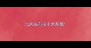 北京拉布拉多犬基地