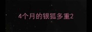 4个月的银狐多重