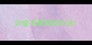 训金毛最快的办法