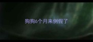 狗狗6个月来例假了