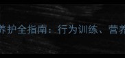 边境牧羊犬6个月养护全指南行为训练营养管理与健康隐患