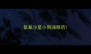 氧氟沙星小狗滴眼药