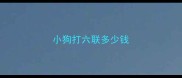 小狗打六联多少钱