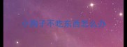 小狗子不吃东西怎么办
