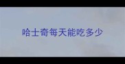 哈士奇每天能吃多少