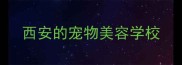 西安的宠物美容学校