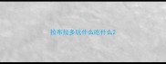 拉布拉多玩什么吃什么