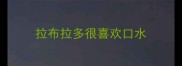拉布拉多很喜欢口水