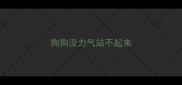 狗狗没力气站不起来