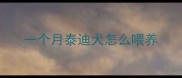 一个月泰迪犬怎么喂养