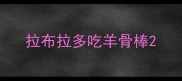 拉布拉多吃羊骨棒