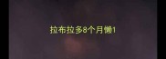 拉布拉多8个月懒