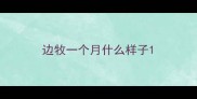边牧一个月什么样子