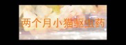 两个月小猫驱虫药