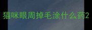 猫咪眼周掉毛涂什么药