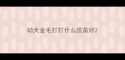 幼犬金毛打打什么疫苗好