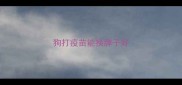 狗打疫苗能换牌子好