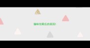 猫咪怕黄瓜的原因