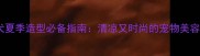 泰迪犬夏季造型必备指南清凉又时尚的宠物美容技巧