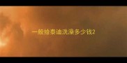 一般给泰迪洗澡多少钱