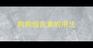 狗狗缩宫素的用法