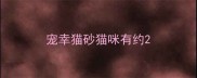宠幸猫砂猫咪有约