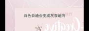 白色泰迪会变成灰泰迪吗