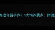 小型泰迪犬是否适合新手养5大饲养要点附健康养护全攻略