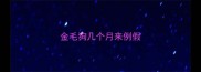 金毛狗几个月来例假