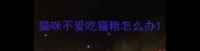 猫咪不爱吃猫粮怎么办