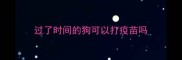 过了时间的狗可以打疫苗吗