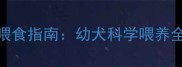 7月大哈士奇每日喂食指南幼犬科学喂养全攻略附食谱