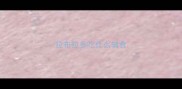 拉布拉多吃什么辅食