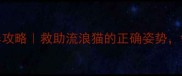 天津猫咪免费领养攻略救助流浪猫的正确姿势领养代替购买指南