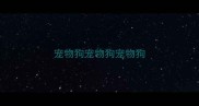宠物狗宠物狗宠物狗