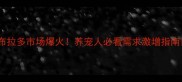 拉布拉多市场爆火养宠人必看需求激增指南